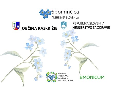 Demenca logo