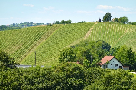 495624649_24142063635411701_2835266062060430156_n