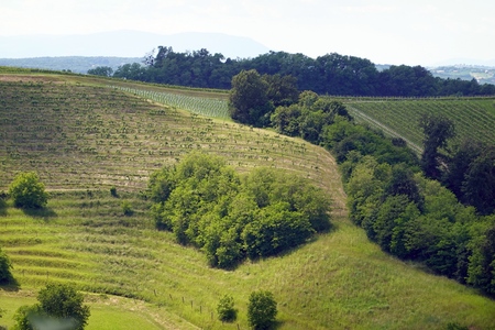 500906428_24142075448743853_724107096336697201_n