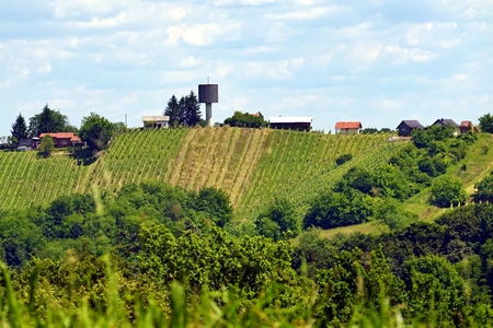 502496742_24142074972077234_909245507086218145_n