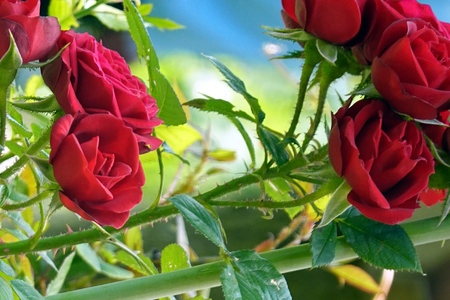 502703056_24142075285410536_2168527785312616742_n